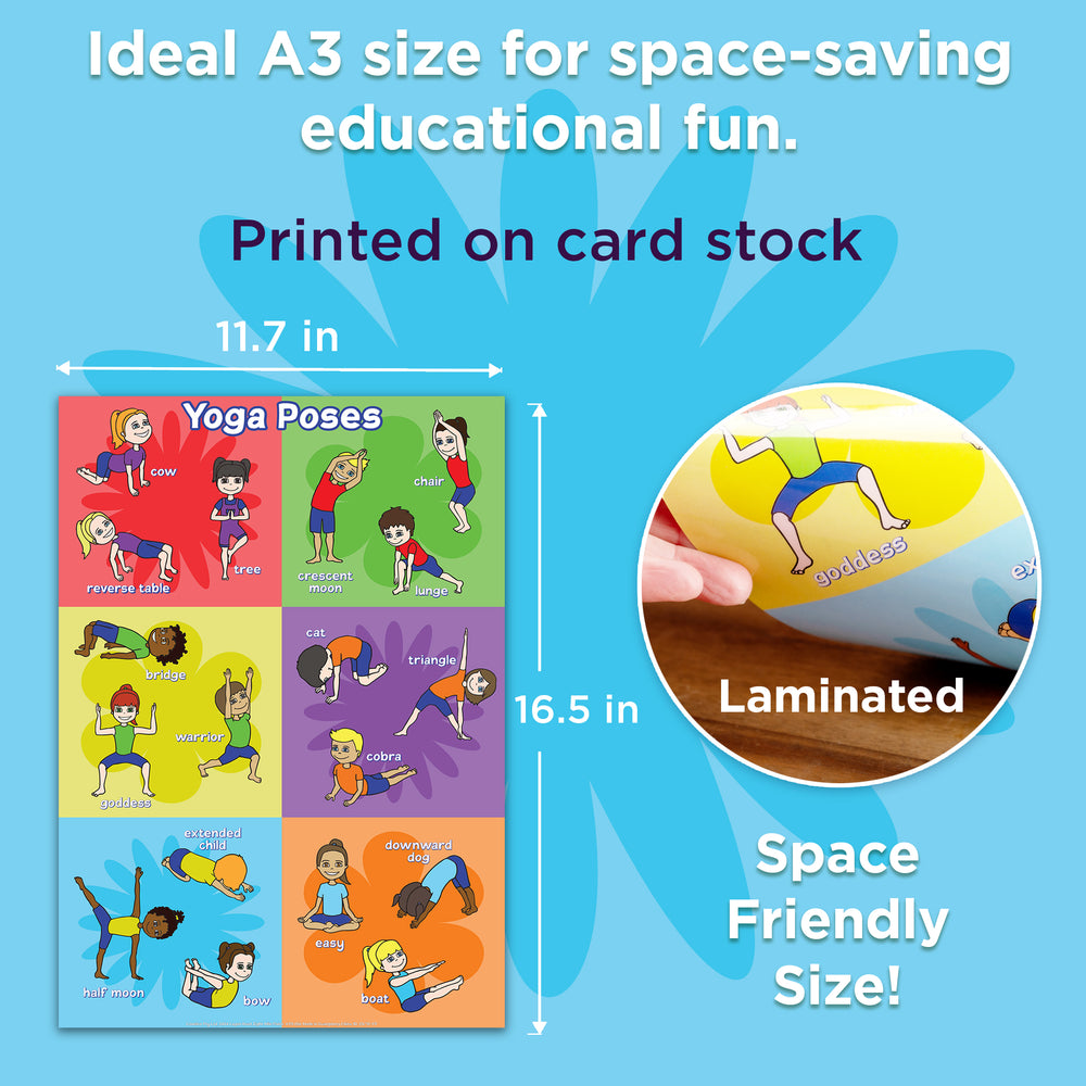 Educational poster with yoga poses on a blue background, showing dimensions and material details.